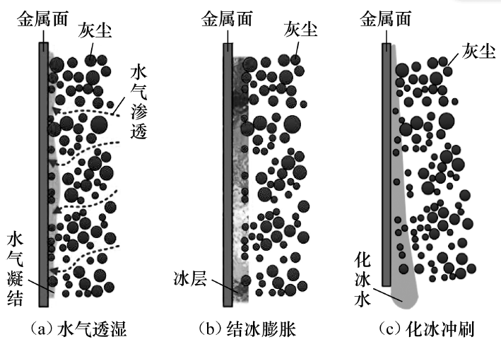 图16  利用结冰胀脱方式进行灰尘自清洁的物理过程